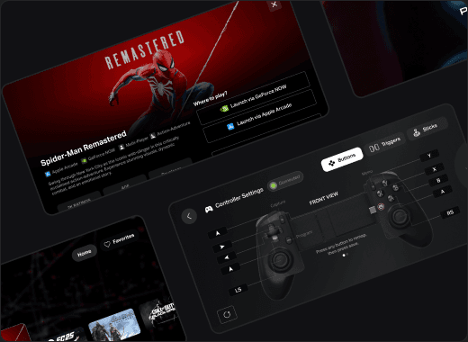Media product interface collage