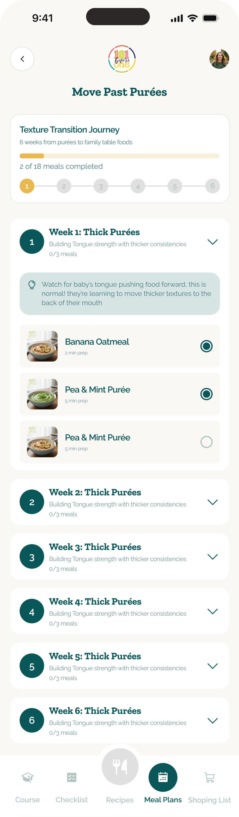 101 Before One Move Past Purées plan showing completed meals and progress