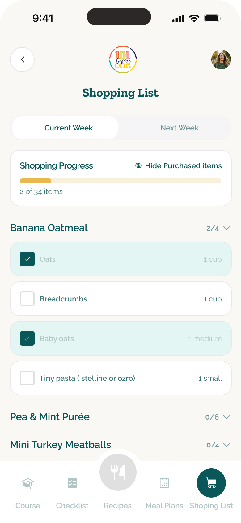 101 Before One shopping list with purchased ingredients checked and progress updated